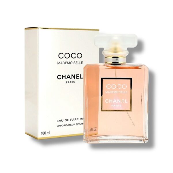 photoroom 20260110 234846